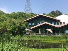 -西湖风景区-江洋畈生态公园