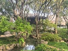 -上海醉白池公园