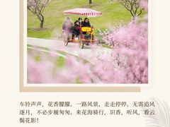 -花开海上生态园