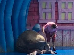 -华夏文旅海洋公园