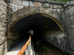 -白水寺森林公园