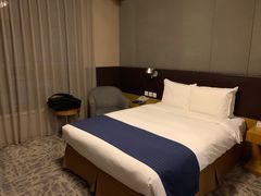 -北京民族园葉子里酒店(鸟巢店)