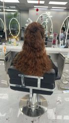 -5M HAIR SALON 旗舰店