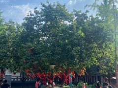 -西安青龙寺遗址景区