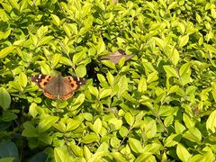 -杭州半山国家森林公园