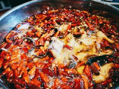水煮鲶鱼-望京一号·重庆江湖菜(工体店)