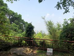 -大雁山风景区