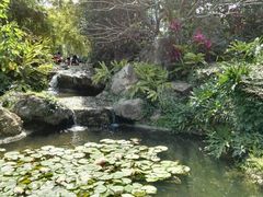 景点-晓港公园