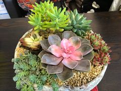 -肆兮眼镜·蔡司·徕卡战略合作店(大坪店)