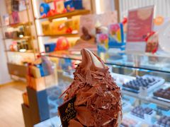 双拼冰淇淋-GODIVA(万象城店)