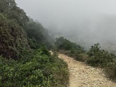 -梧桐山风景名胜区