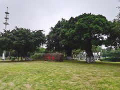 -万绿园