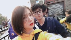 -大象造型
