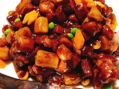 -新吉士·上海菜(浦东LCM置汇旭辉店)