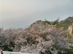 -泰山风景名胜区