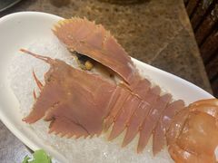 琵琶虾-舒友海鲜姿造(白鹭洲店)