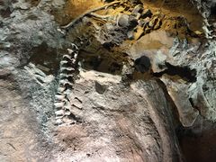 -世界恐龙谷景区