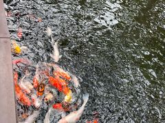 -Waterfall瀑布湾优健源(华侨城店)