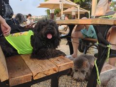 -Brew Farm·精酿农场海滨悬崖餐厅