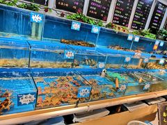 水产区-黄寺蒸汽海鲜(黄寺大街店)