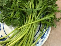 茼蒿-鑫龙火锅城(经二纬四店)