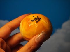 红豆蛋黄酥-花满楼鲜花饼·甄选工坊(昆明老街店)