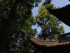 -灵隐飞来峰景区