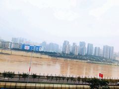 -李子坝梁山鸡(李子坝大鸡哥店)