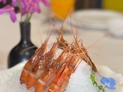 -南麓·浙里(外滩店)