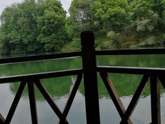 -张鸟园农家乐(张鸟园店)