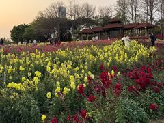 -厦门园林博览苑