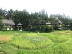 -四季酒店下午茶