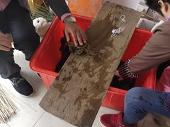 -阳澄湖大闸蟹·琼灵阁牌品牌连锁(吴中总店)