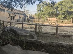 -南昌动物园