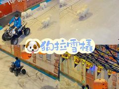 -郑州银基冰雪世界