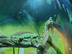 -华夏文旅海洋公园