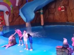 -烟台海昌鲸鲨海洋公园