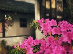 -拙政园