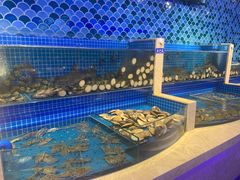 水产区-乔哥铭洋海鲜自助(皇城恒隆广场店)