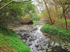 -白沙门生态公园