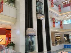 -翠微百货(龙德店)
