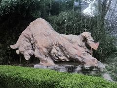 -金城公园