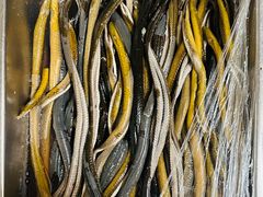 -沪依小酒馆心意菜