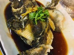 -大树下海鲜饭店