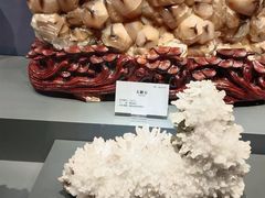 -湖南省地质博物馆