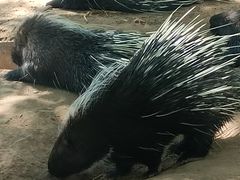 -鄂尔多斯野生动物园