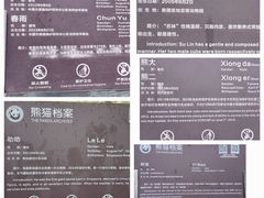 -都江堰中华大熊猫苑
