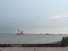 -上海滨江森林公园