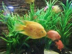 -洛阳龙门海洋馆