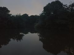 -太极禅苑